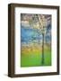 Spring Tree-Ursula Abresch-Framed Photographic Print