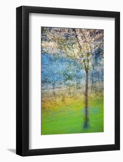 Spring Tree-Ursula Abresch-Framed Photographic Print