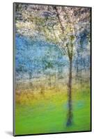 Spring Tree-Ursula Abresch-Mounted Photographic Print