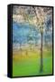 Spring Tree-Ursula Abresch-Framed Stretched Canvas