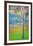 Spring Tree-Ursula Abresch-Framed Photographic Print