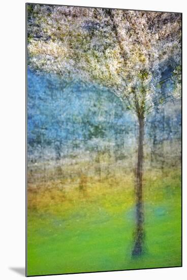 Spring Tree-Ursula Abresch-Mounted Photographic Print