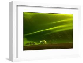 Spring Tree-Marcin Sobas-Framed Photographic Print