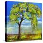 Spring Tree-Blenda Tyvoll-Stretched Canvas