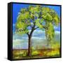 Spring Tree-Blenda Tyvoll-Framed Stretched Canvas