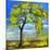 Spring Tree-Blenda Tyvoll-Mounted Giclee Print