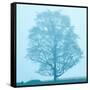 Spring Tree-James McLoughlin-Framed Stretched Canvas