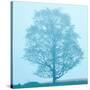 Spring Tree-James McLoughlin-Stretched Canvas