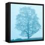 Spring Tree-James McLoughlin-Framed Stretched Canvas