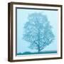 Spring Tree-James McLoughlin-Framed Photographic Print