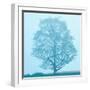 Spring Tree-James McLoughlin-Framed Photographic Print