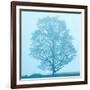 Spring Tree-James McLoughlin-Framed Photographic Print