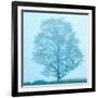 Spring Tree-James McLoughlin-Framed Photographic Print