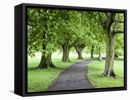 Spring Trees on the Stray in Spring, Harrogate, North Yorkshire, Yorkshire, England, UK, Europe-Mark Sunderland-Framed Stretched Canvas