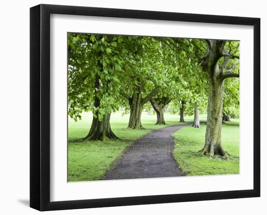 Spring Trees on the Stray in Spring, Harrogate, North Yorkshire, Yorkshire, England, UK, Europe-Mark Sunderland-Framed Photographic Print