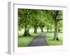 Spring Trees on the Stray in Spring, Harrogate, North Yorkshire, Yorkshire, England, UK, Europe-Mark Sunderland-Framed Photographic Print