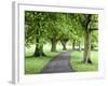 Spring Trees on the Stray in Spring, Harrogate, North Yorkshire, Yorkshire, England, UK, Europe-Mark Sunderland-Framed Photographic Print