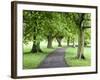 Spring Trees on the Stray in Spring, Harrogate, North Yorkshire, Yorkshire, England, UK, Europe-Mark Sunderland-Framed Photographic Print