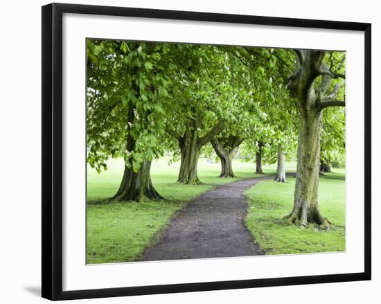 Spring Trees on the Stray in Spring, Harrogate, North Yorkshire, Yorkshire, England, UK, Europe-Mark Sunderland-Framed Photographic Print