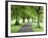 Spring Trees on the Stray in Spring, Harrogate, North Yorkshire, Yorkshire, England, UK, Europe-Mark Sunderland-Framed Photographic Print