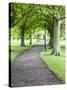 Spring Trees on the Stray in Spring, Harrogate, North Yorkshire, Yorkshire, England, UK, Europe-Mark Sunderland-Stretched Canvas