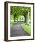 Spring Trees on the Stray in Spring, Harrogate, North Yorkshire, Yorkshire, England, UK, Europe-Mark Sunderland-Framed Photographic Print