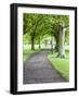 Spring Trees on the Stray in Spring, Harrogate, North Yorkshire, Yorkshire, England, UK, Europe-Mark Sunderland-Framed Photographic Print