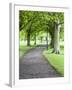 Spring Trees on the Stray in Spring, Harrogate, North Yorkshire, Yorkshire, England, UK, Europe-Mark Sunderland-Framed Photographic Print