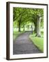 Spring Trees on the Stray in Spring, Harrogate, North Yorkshire, Yorkshire, England, UK, Europe-Mark Sunderland-Framed Photographic Print