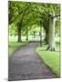 Spring Trees on the Stray in Spring, Harrogate, North Yorkshire, Yorkshire, England, UK, Europe-Mark Sunderland-Mounted Photographic Print