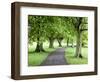 Spring Trees on the Stray in Spring, Harrogate, North Yorkshire, Yorkshire, England, UK, Europe-Mark Sunderland-Framed Photographic Print