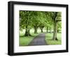 Spring Trees on the Stray in Spring, Harrogate, North Yorkshire, Yorkshire, England, UK, Europe-Mark Sunderland-Framed Photographic Print