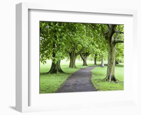Spring Trees on the Stray in Spring, Harrogate, North Yorkshire, Yorkshire, England, UK, Europe-Mark Sunderland-Framed Photographic Print