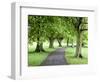 Spring Trees on the Stray in Spring, Harrogate, North Yorkshire, Yorkshire, England, UK, Europe-Mark Sunderland-Framed Photographic Print