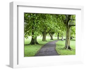 Spring Trees on the Stray in Spring, Harrogate, North Yorkshire, Yorkshire, England, UK, Europe-Mark Sunderland-Framed Photographic Print