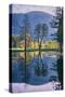 Spring Trees Reflected in Yosemite Valley-Vincent James-Stretched Canvas