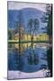 Spring Trees Reflected in Yosemite Valley-Vincent James-Mounted Photographic Print