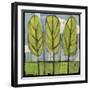 Spring Trees-Tim Nyberg-Framed Giclee Print