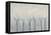Spring Trees-Roberto Gonzalez-Framed Stretched Canvas