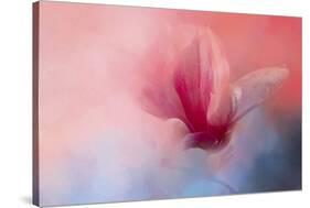 Spring Tulip Magnolia-Jai Johnson-Stretched Canvas