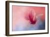 Spring Tulip Magnolia-Jai Johnson-Framed Giclee Print