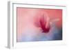 Spring Tulip Magnolia-Jai Johnson-Framed Giclee Print