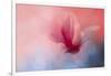 Spring Tulip Magnolia-Jai Johnson-Framed Giclee Print