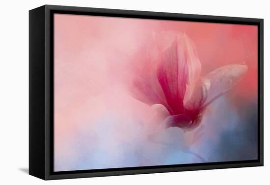 Spring Tulip Magnolia-Jai Johnson-Framed Stretched Canvas