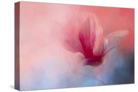 Spring Tulip Magnolia-Jai Johnson-Stretched Canvas