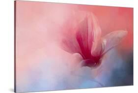 Spring Tulip Magnolia-Jai Johnson-Stretched Canvas