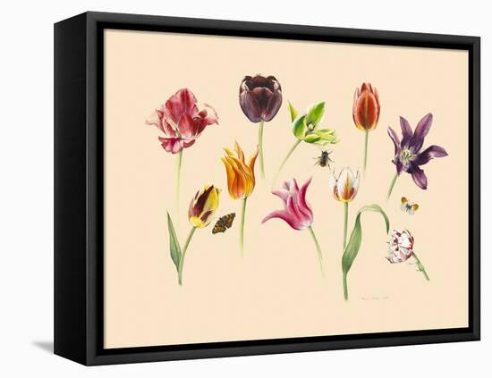 spring tulips and insects-Alison Cooper-Framed Stretched Canvas