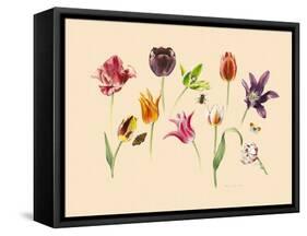 spring tulips and insects-Alison Cooper-Framed Stretched Canvas