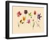 spring tulips and insects-Alison Cooper-Framed Giclee Print