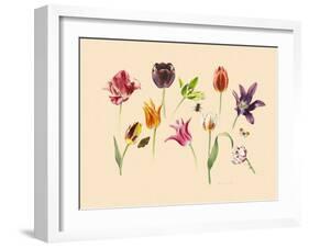 spring tulips and insects-Alison Cooper-Framed Giclee Print